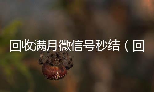 回收满月微信号秒vx号回收平台秒接结（回收三个月以上微信号秒结账）