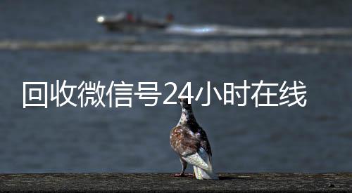 回收微信号24小长期高价收购微信号立马结账时在线秒结（回收微信号平台官网）