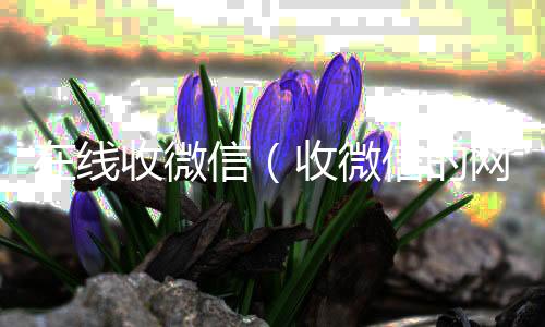 在线收微信靠谱的微信号24小时交易平台（收微信的网站）