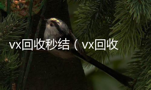 vx回收秒结vx回收联系方式（vx回收秒结500）